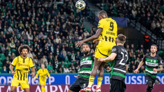 1739343965718063521.jpeg 1739343965718063521.jpeg